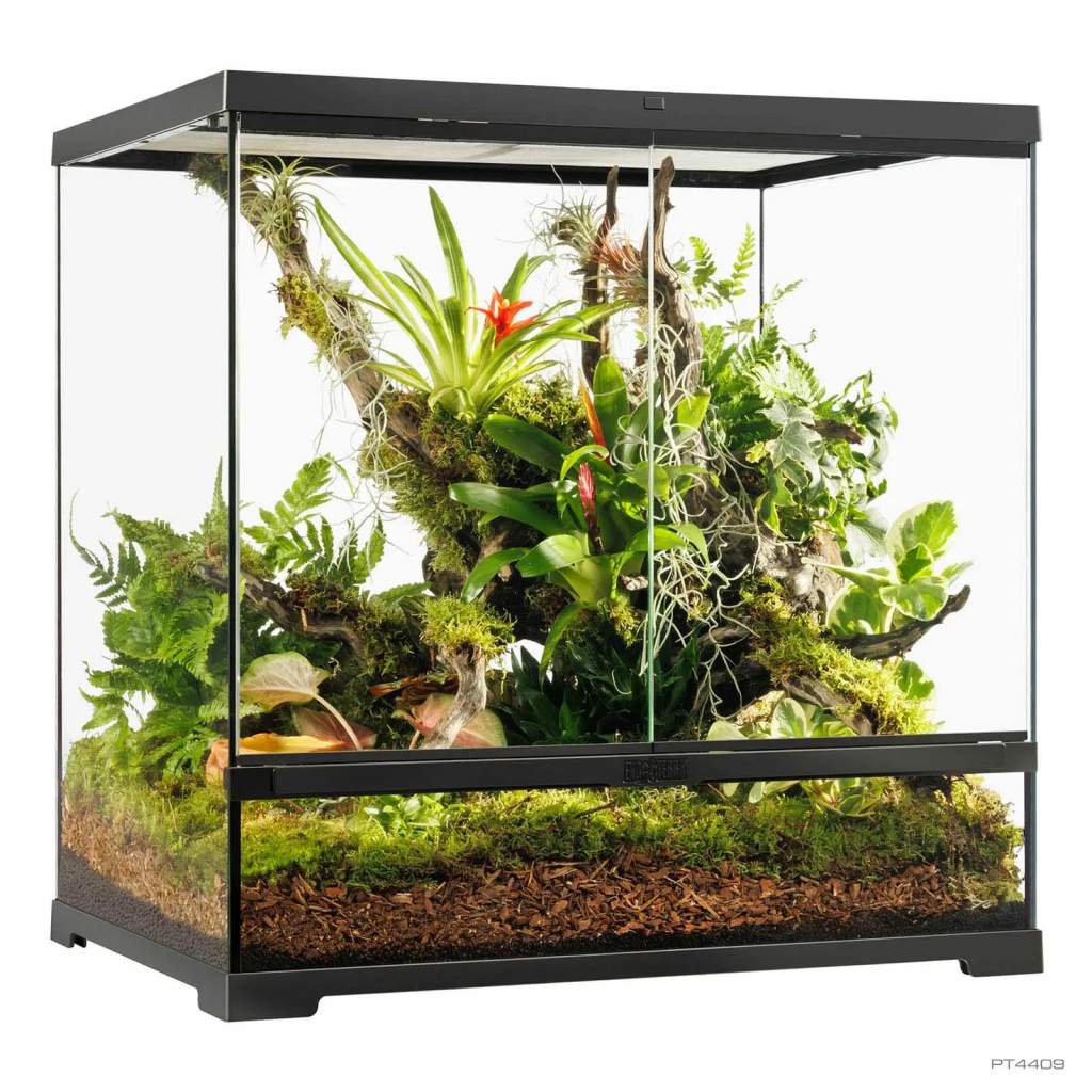 Pro Terrarium